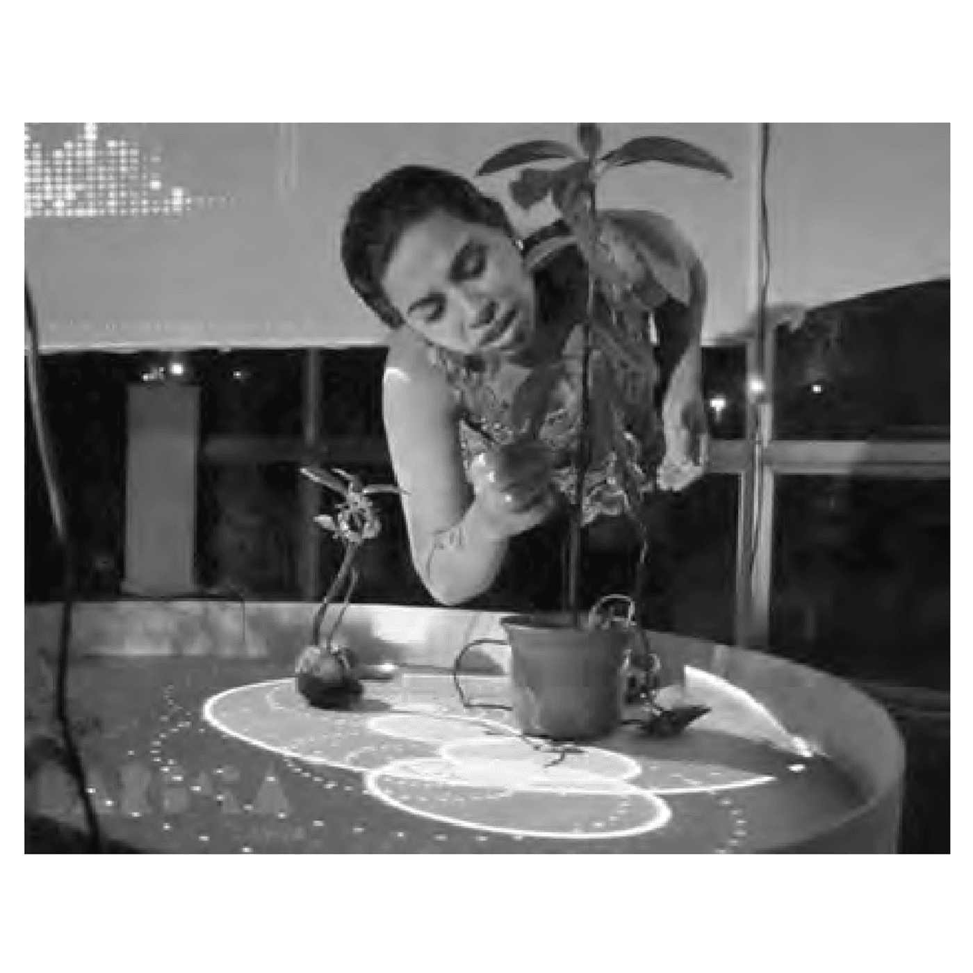 “Abacateiro Acataremos o teu Ato” (2013). Performance por Barbara Castro em 2016.